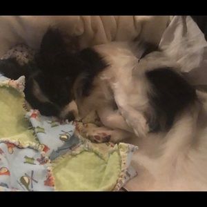 Meet your Posher, Cherie